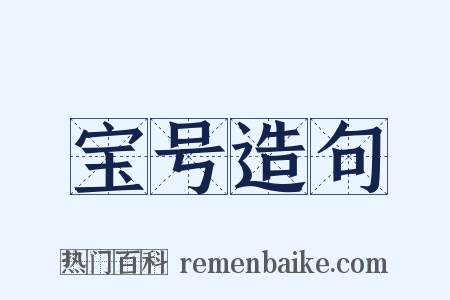 宝号造句是什么意思的图片